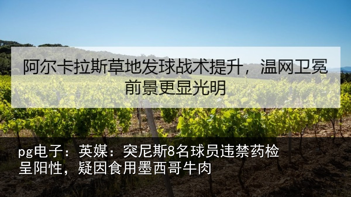 pg电子：英媒相关情况药检相关情况西哥牛肉